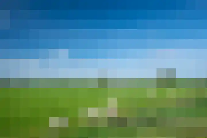 Achterhoeskamp 31 Haren Gn thumbnail 11