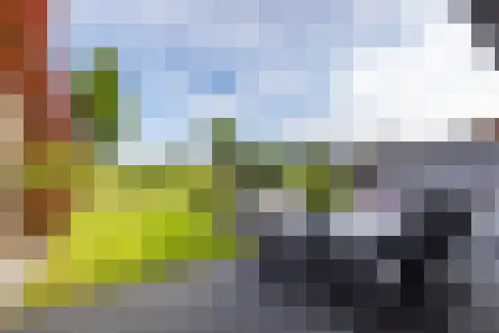 Achterhoeskamp 38 Haren Gn thumbnail 23