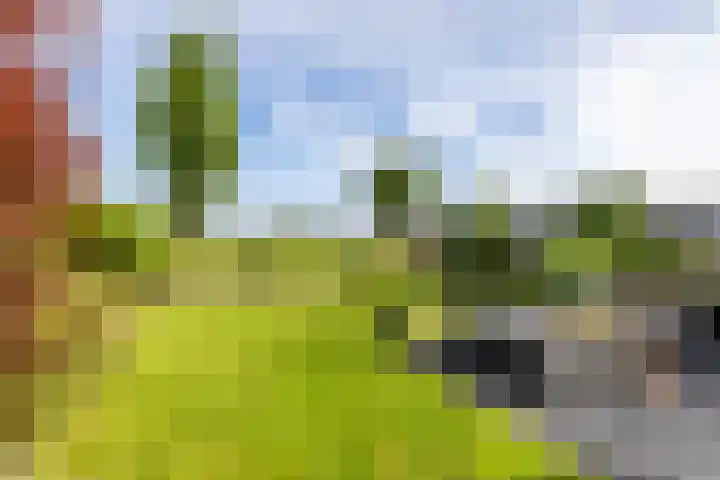 Achterhoeskamp 38 Haren Gn thumbnail 24