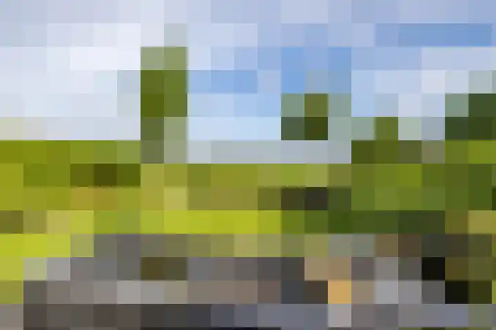 Achterhoeskamp 38 Haren Gn thumbnail 25