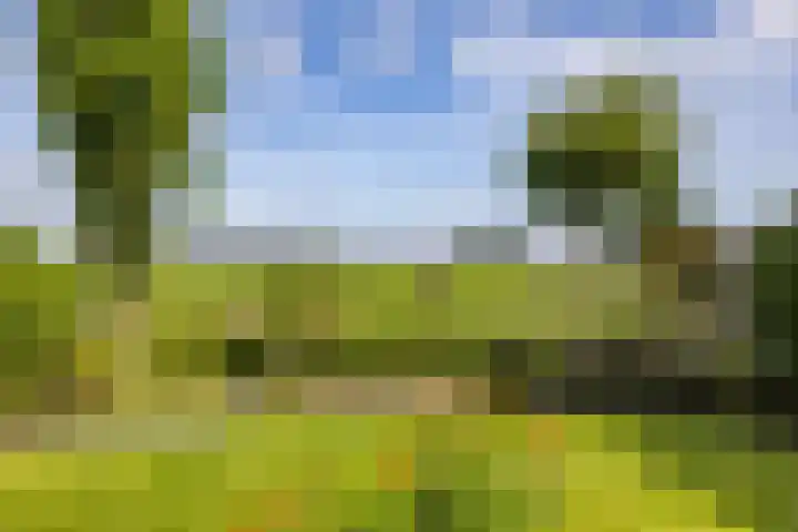 Achterhoeskamp 38 Haren Gn thumbnail 26