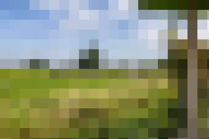 Achterhoeskamp 38 Haren Gn thumbnail 27