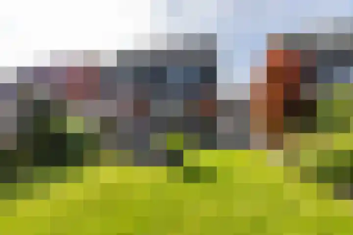 Achterhoeskamp 38 Haren Gn thumbnail 28
