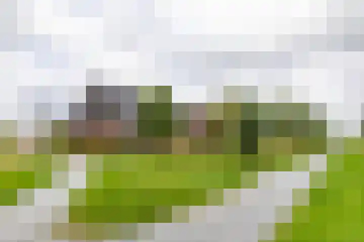 Achterhoeskamp 38 Haren Gn thumbnail 48