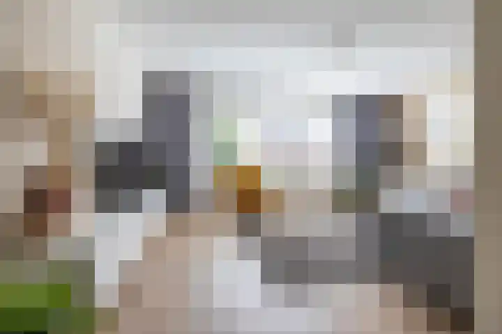 Achterhoeskamp 38 Haren Gn thumbnail 8