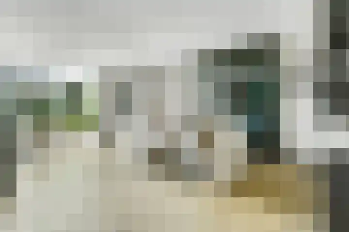 Achterhoeven 3 Dongen thumbnail 13