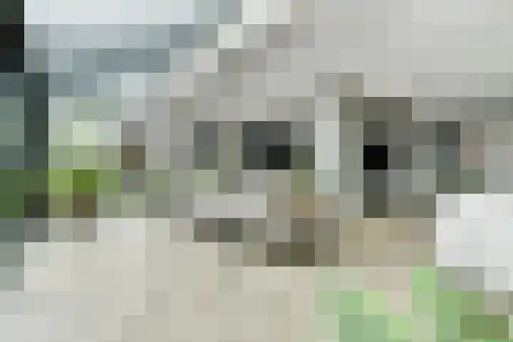 Achterhoeven 3 Dongen thumbnail 17