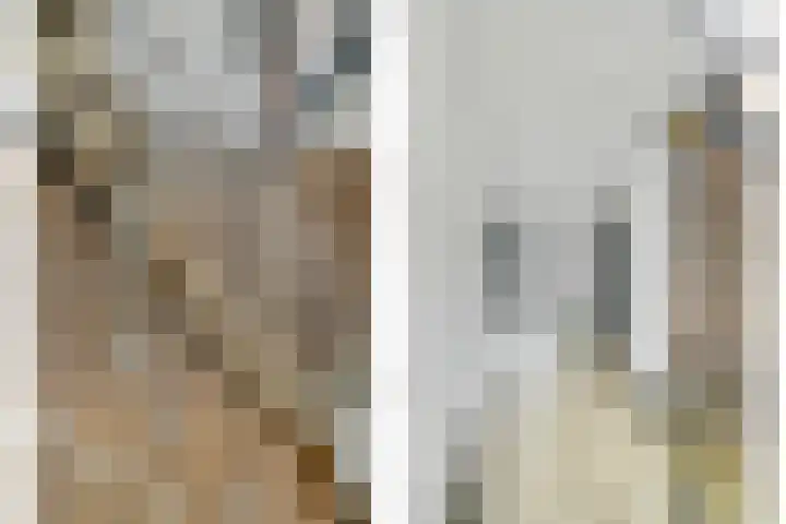 Achterhoeven 3 Dongen thumbnail 22