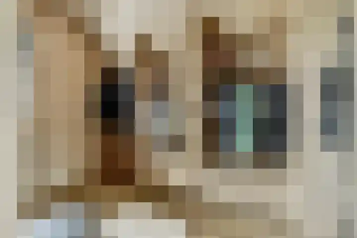 Achterhoeven 3 Dongen thumbnail 25