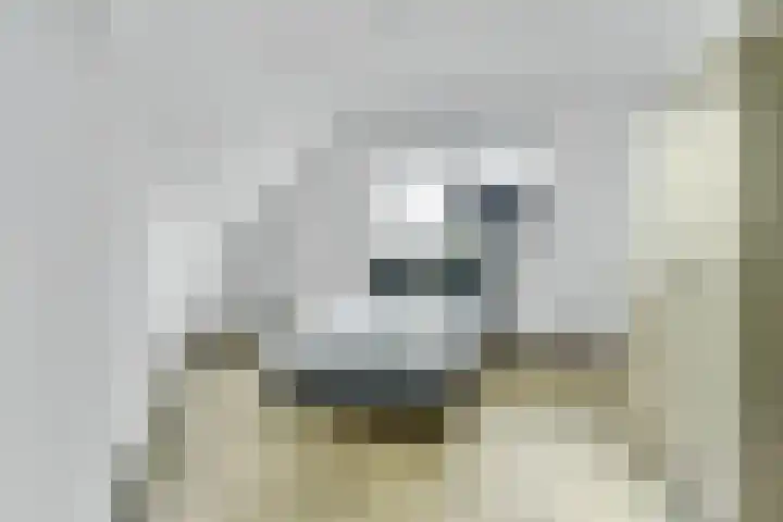Achterhoeven 3 Dongen thumbnail 28