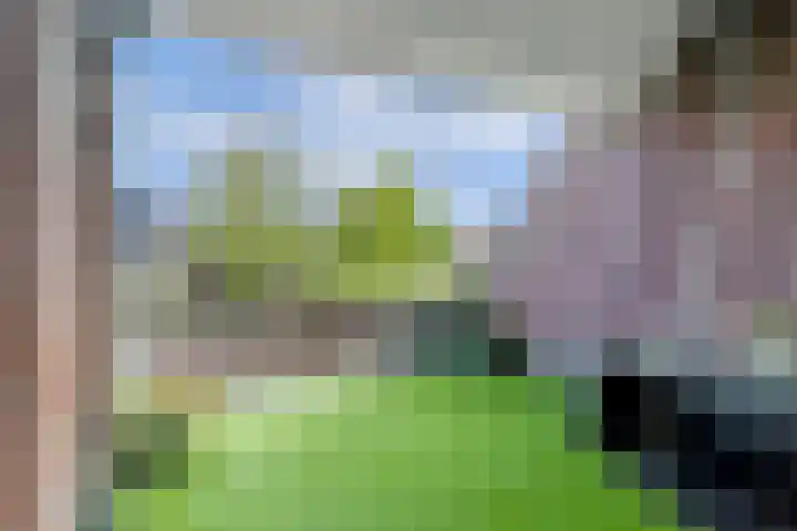 Achterhoeven 3 Dongen thumbnail 32