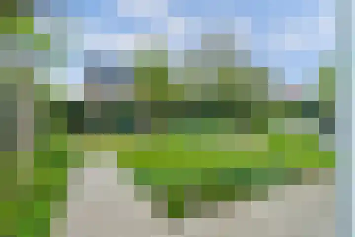 Achterhoeven 3 Dongen thumbnail 43