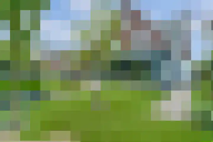 Achterhoeven 3 Dongen thumbnail 44