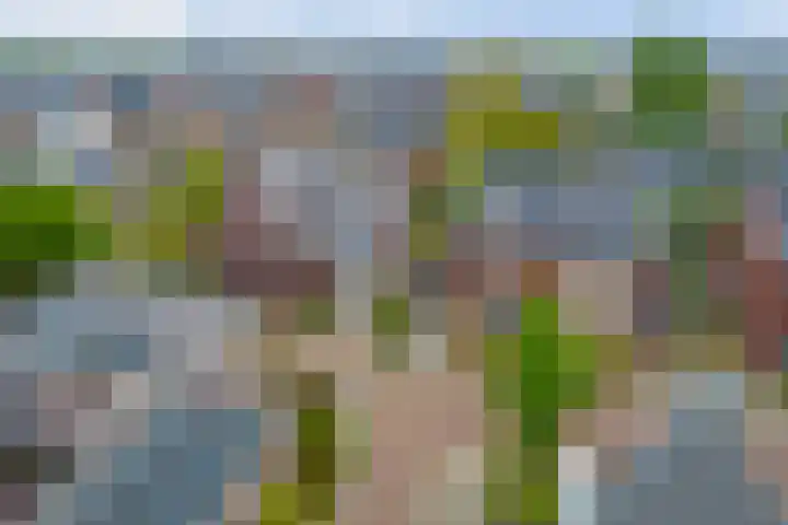 Achterhoeven 3 Dongen thumbnail 46