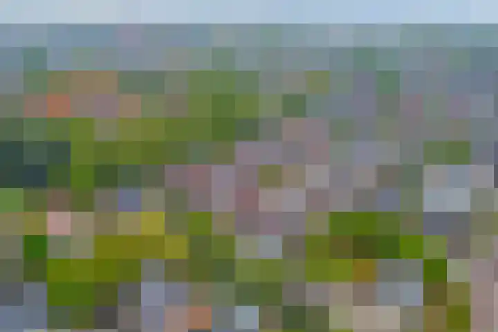 Achterhoeven 3 Dongen thumbnail 47