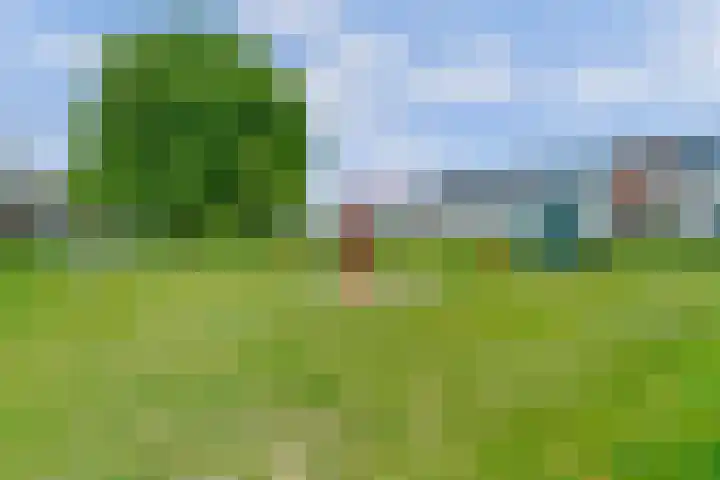 Achterhoeven 3 Dongen thumbnail 48