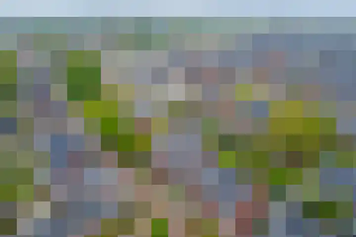 Achterhoeven 3 Dongen thumbnail 5