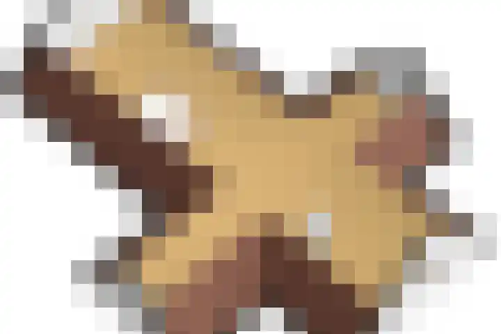 Achterhoeven 3 Dongen thumbnail 51