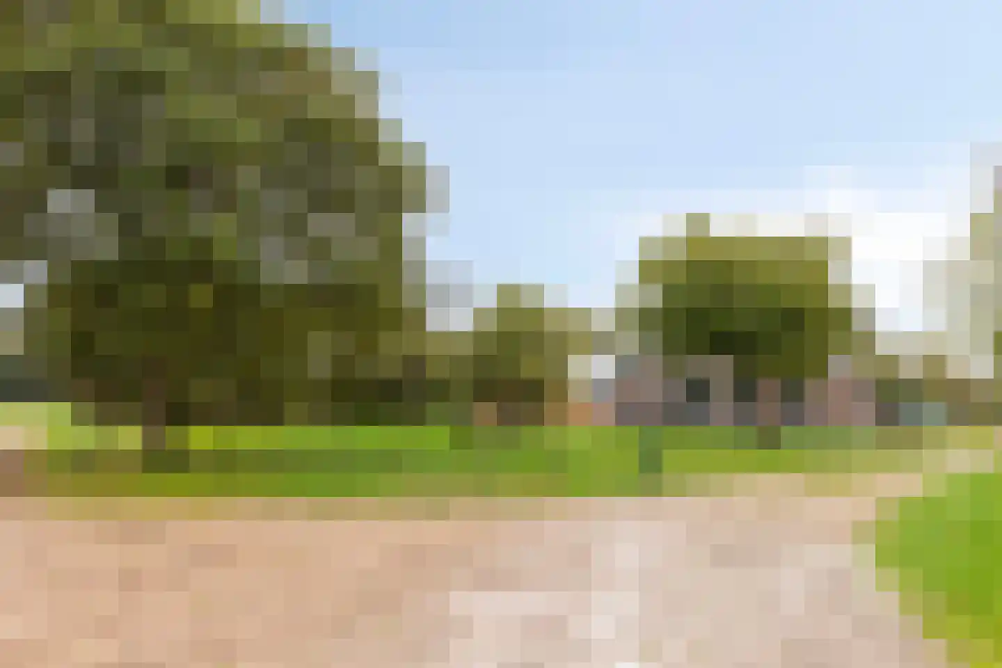 Achterholderweg 6 Winterswijk Woold thumbnail 68