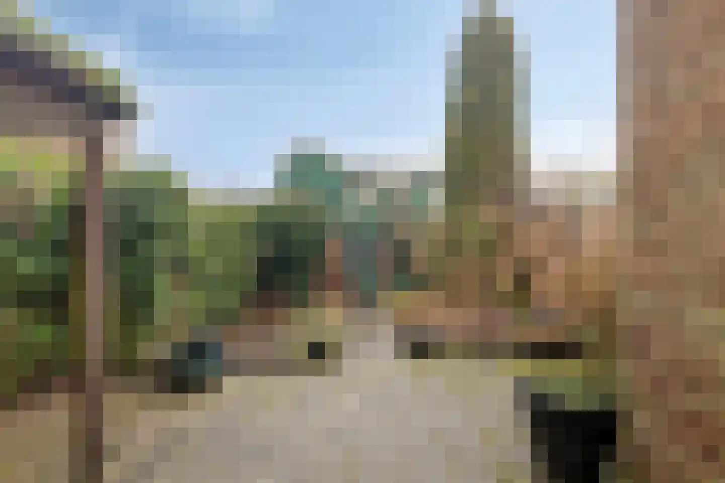 Achterhoven 1 a Zutphen thumbnail 4