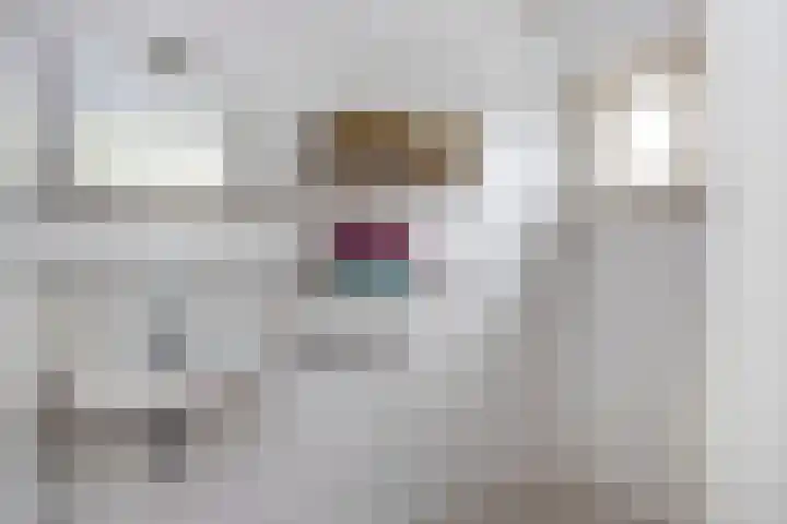 Achterhoven 12 Zutphen thumbnail 15