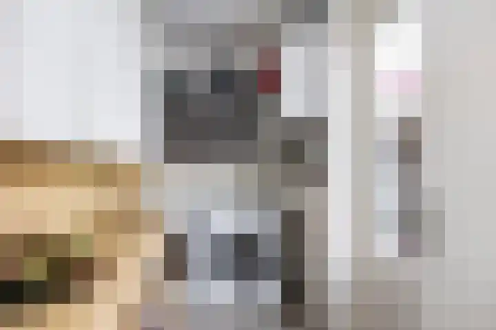 Achterhoven 12 Zutphen thumbnail 16