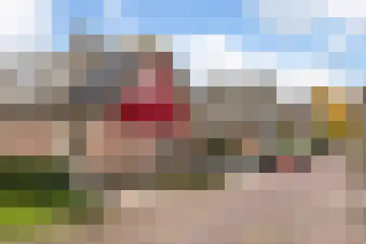 Achterhoven 12 Zutphen thumbnail 26