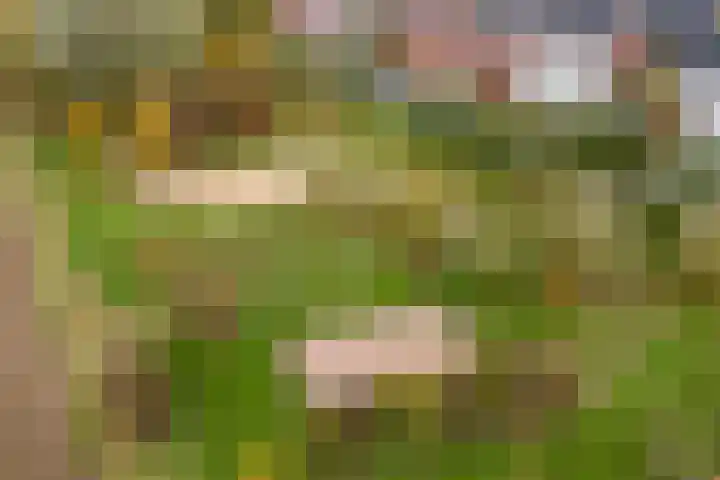 Achterhoven 12 Zutphen thumbnail 27