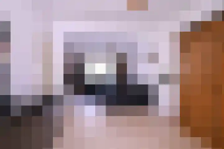 Achterhoven 20 Zutphen thumbnail 17