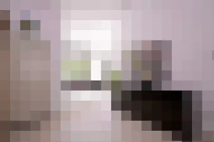 Achterhoven 20 Zutphen thumbnail 18