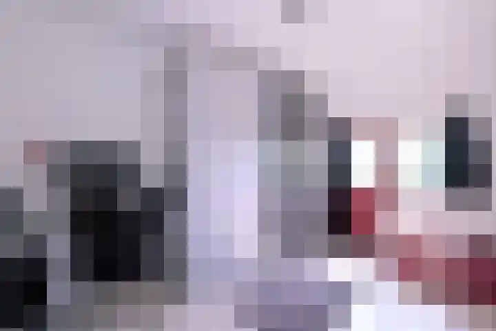 Achterhoven 20 Zutphen thumbnail 46