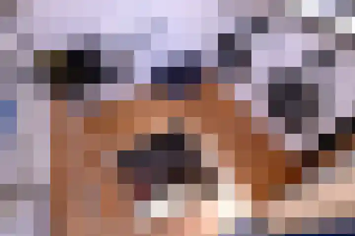 Achterhoven 20 Zutphen thumbnail 47