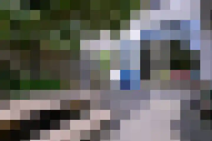 Achterhoven 20 Zutphen thumbnail 49