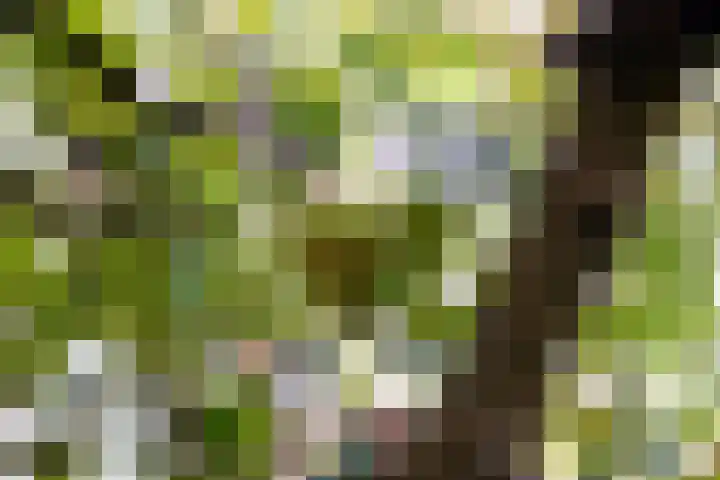 Achterhoven 20 Zutphen thumbnail 56