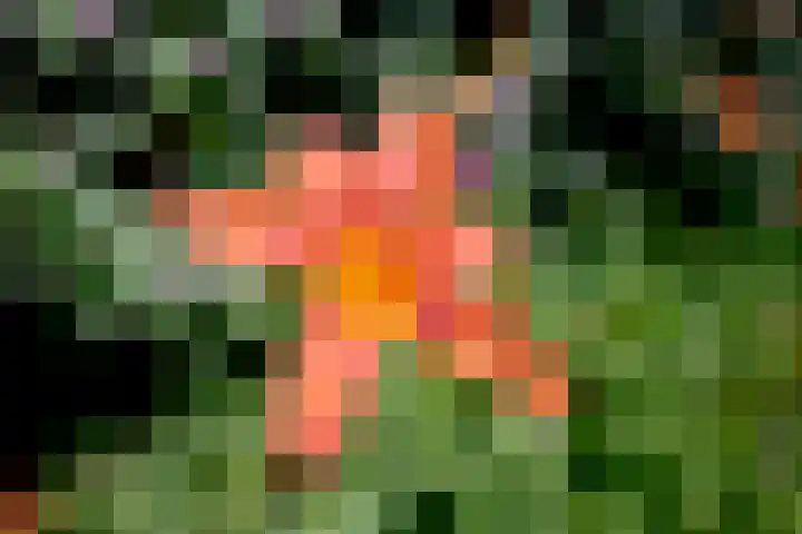 Achterhoven 20 Zutphen thumbnail 58