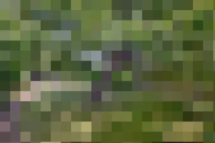 Achterhoven 20 Zutphen thumbnail 59