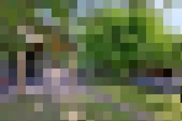 Achterhoven 20 Zutphen thumbnail 62