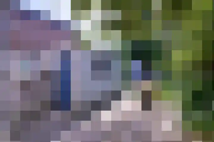 Achterhoven 20 Zutphen thumbnail 67