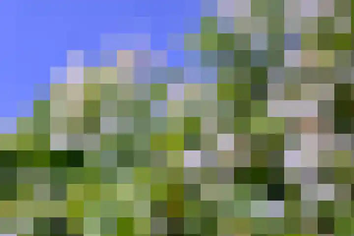 Achterhoven 20 Zutphen thumbnail 70