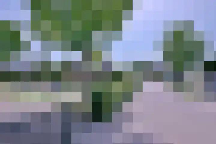 Achterhoven 20 Zutphen thumbnail 74
