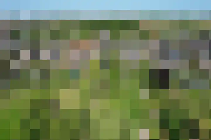 Achterhoven 20 Zutphen thumbnail 76