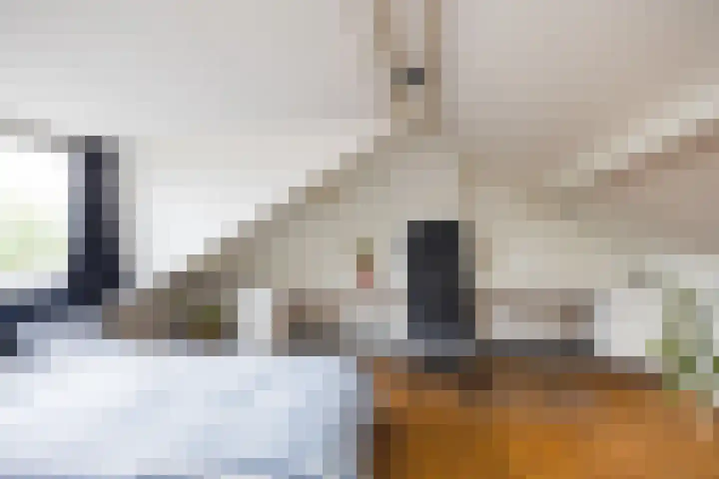 Achterhoven 55 Zutphen thumbnail 18