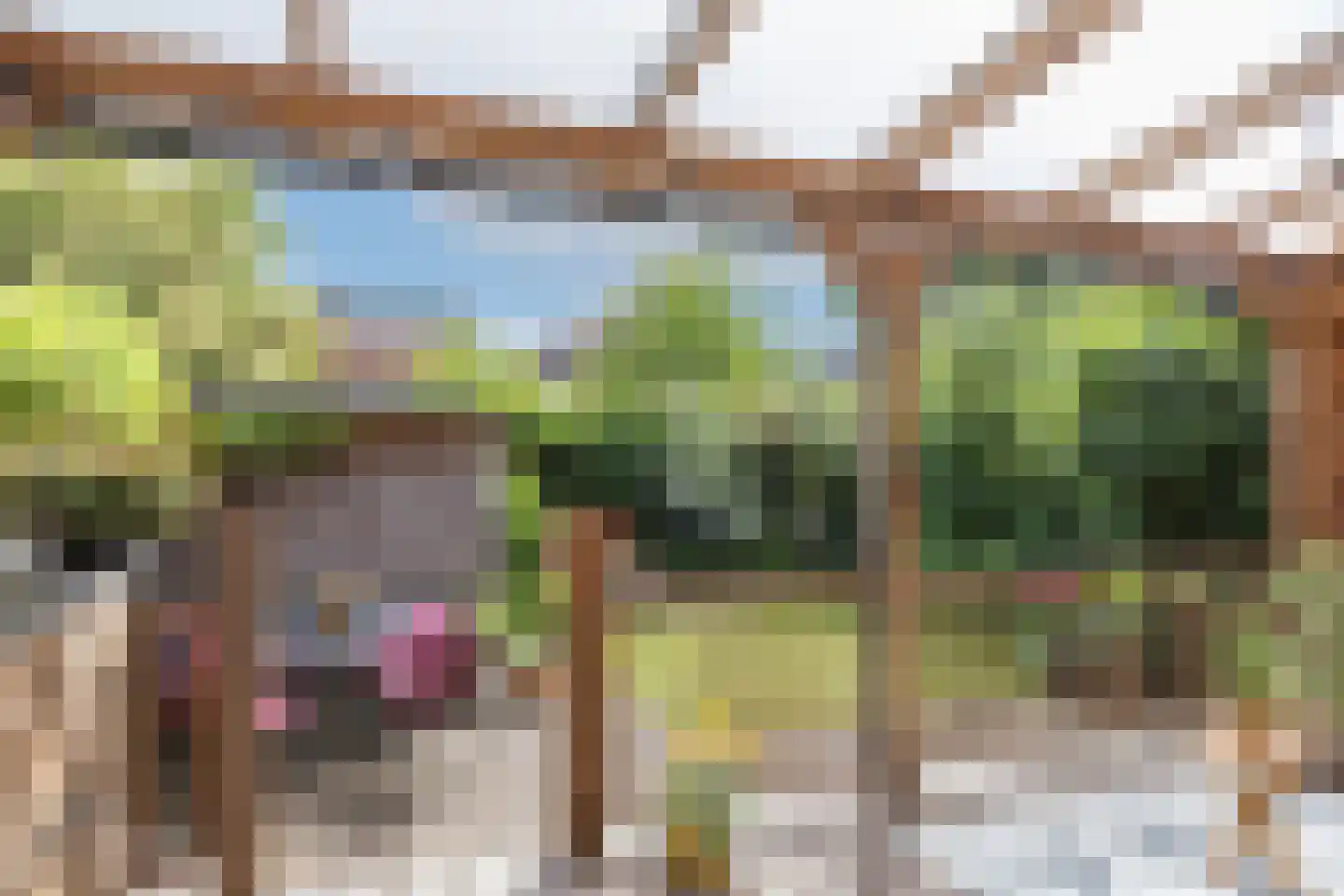 Achterhoven 55 Zutphen thumbnail 19