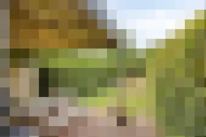 Achterhoven 60 a Zutphen thumbnail 34