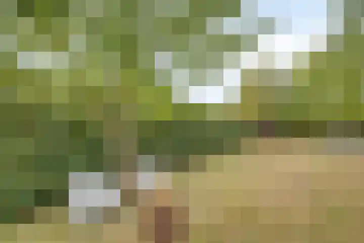 Achterhoven 60 a Zutphen thumbnail 36