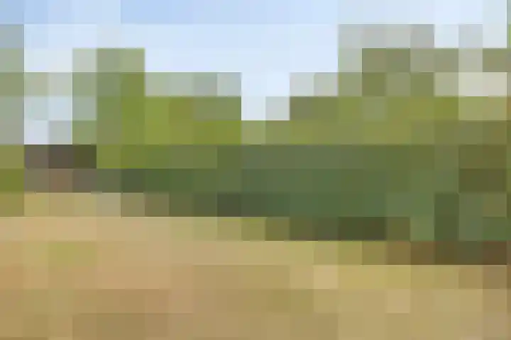 Achterhoven 60 a Zutphen thumbnail 37
