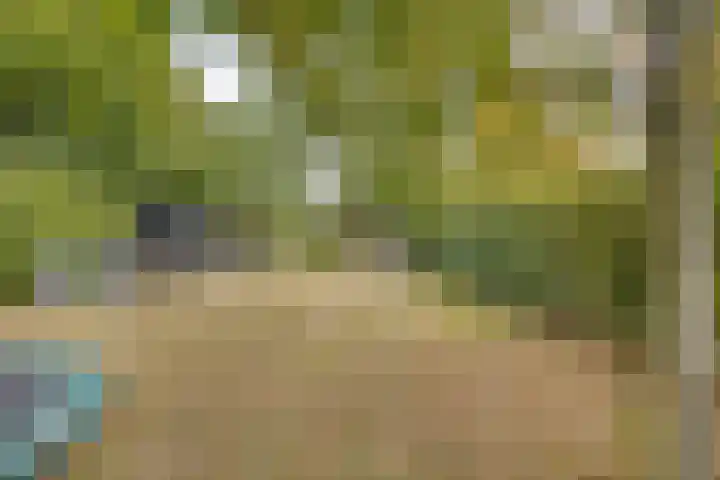 Achterhoven 60 a Zutphen thumbnail 38