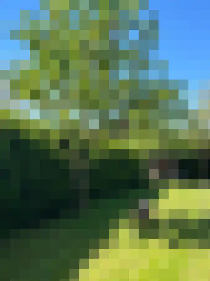 Achterhoven 60 a Zutphen thumbnail 39
