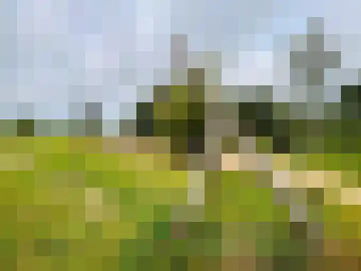 Achterhoven 60 a Zutphen thumbnail 45