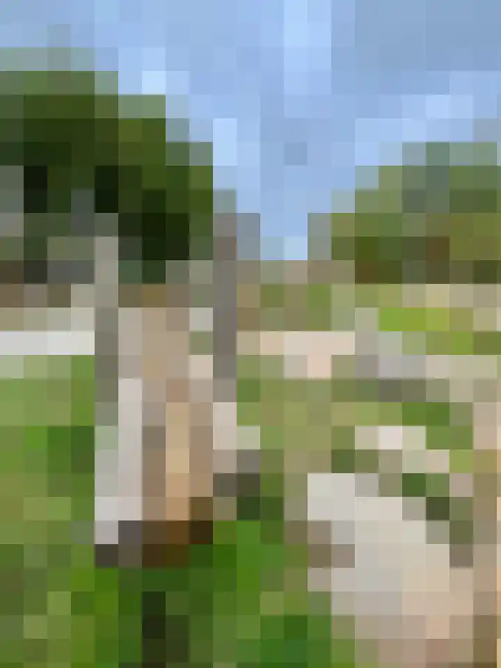 Achterhoven 60 a Zutphen thumbnail 46